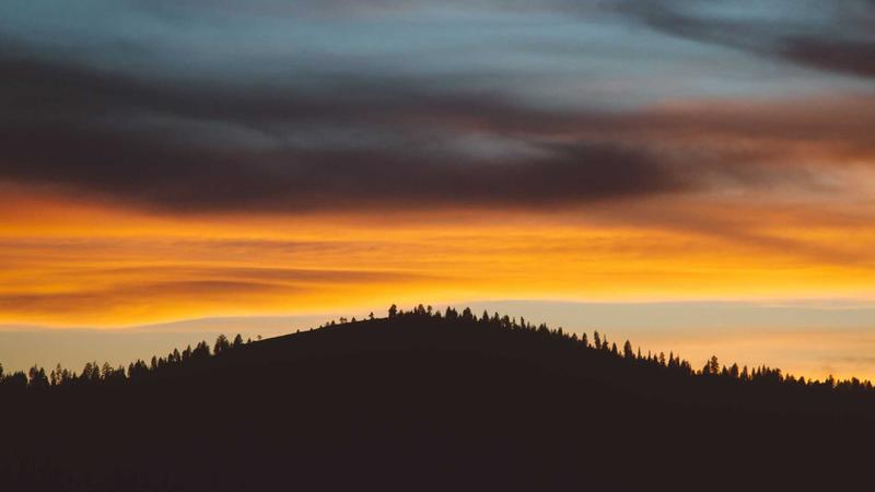 征途国际深度行业分析报告